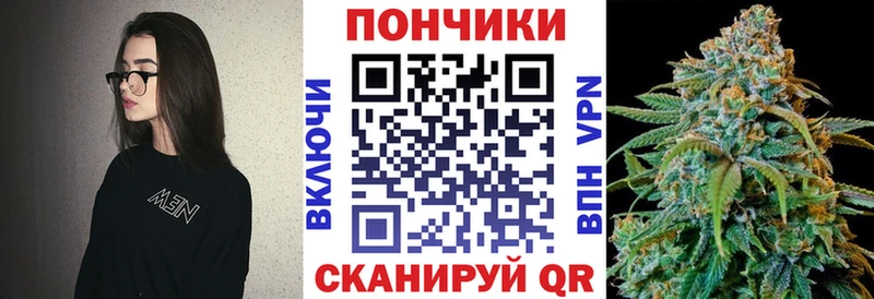 Купить где  Ясный  Бошки Шишки планчик 